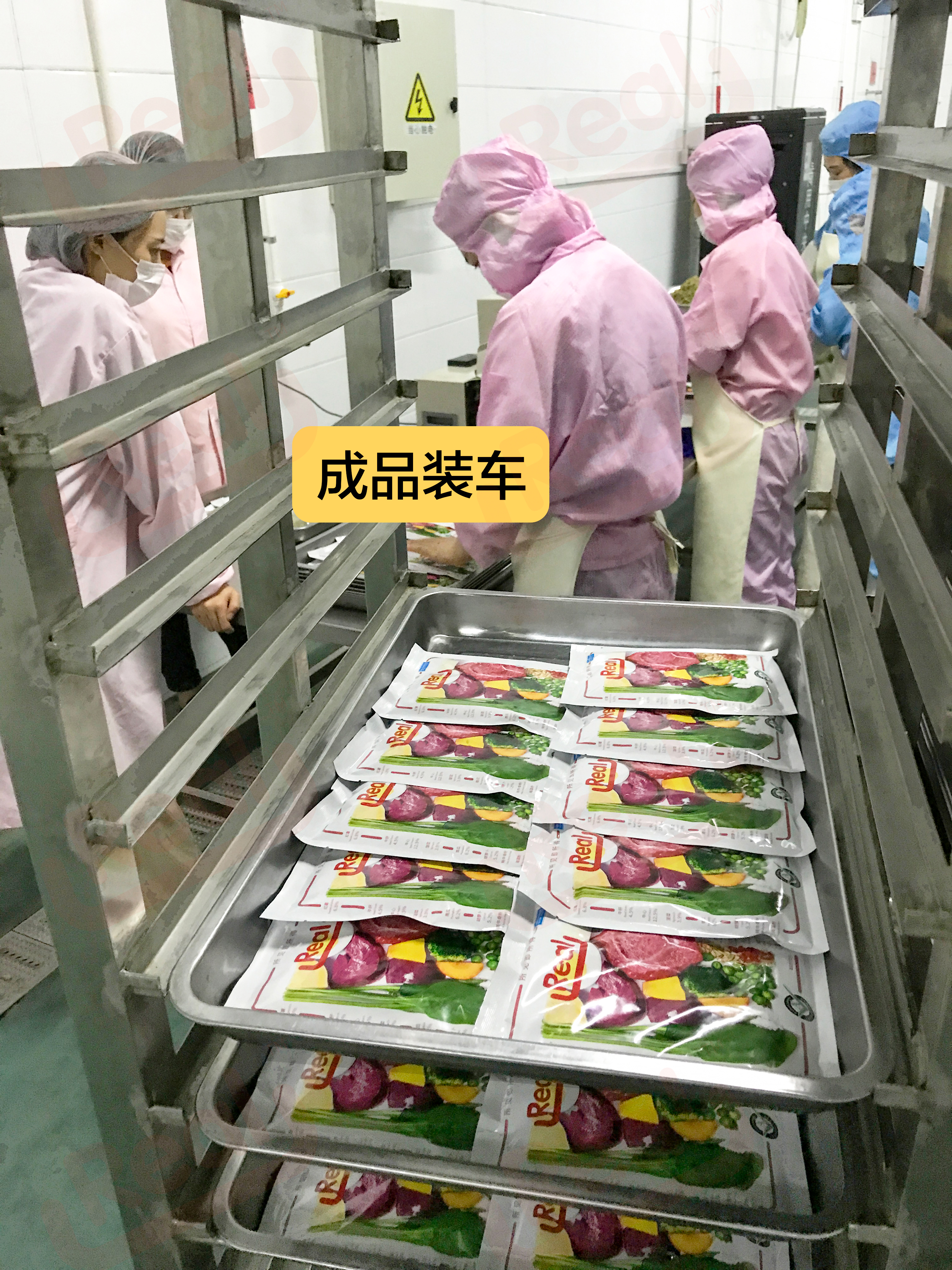 Real鲜食,宠物狗鲜食