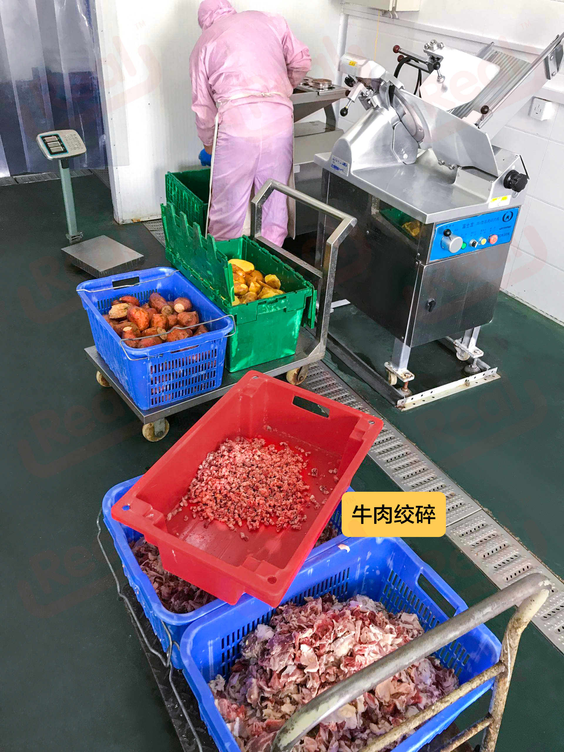 Real鲜食,狗狗鲜食