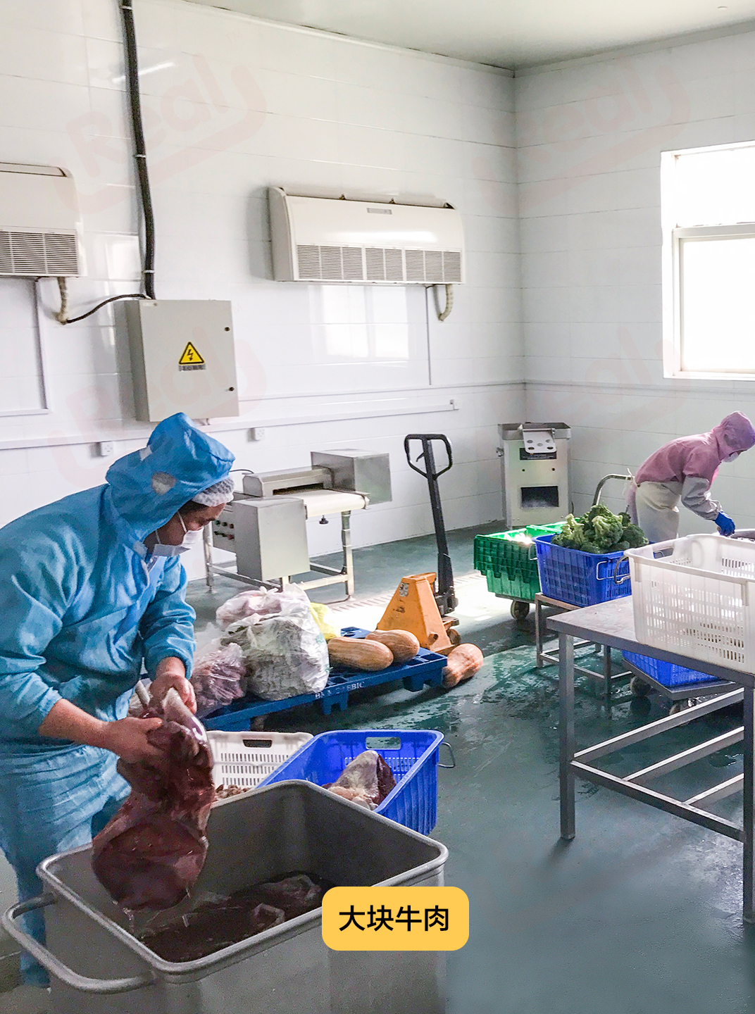 Real鲜粮,狗狗鲜粮