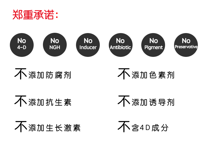 Real鲜食,狗狗鲜食